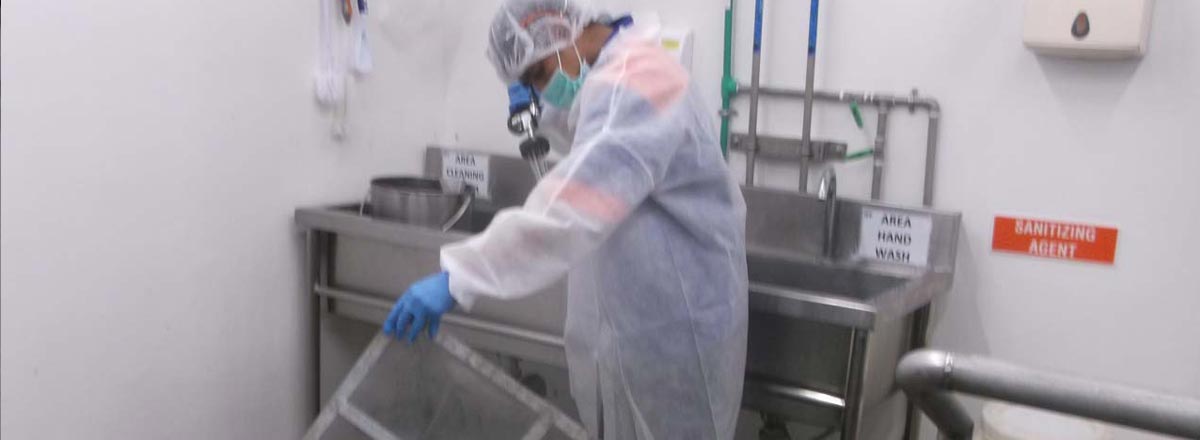 Gohygiene